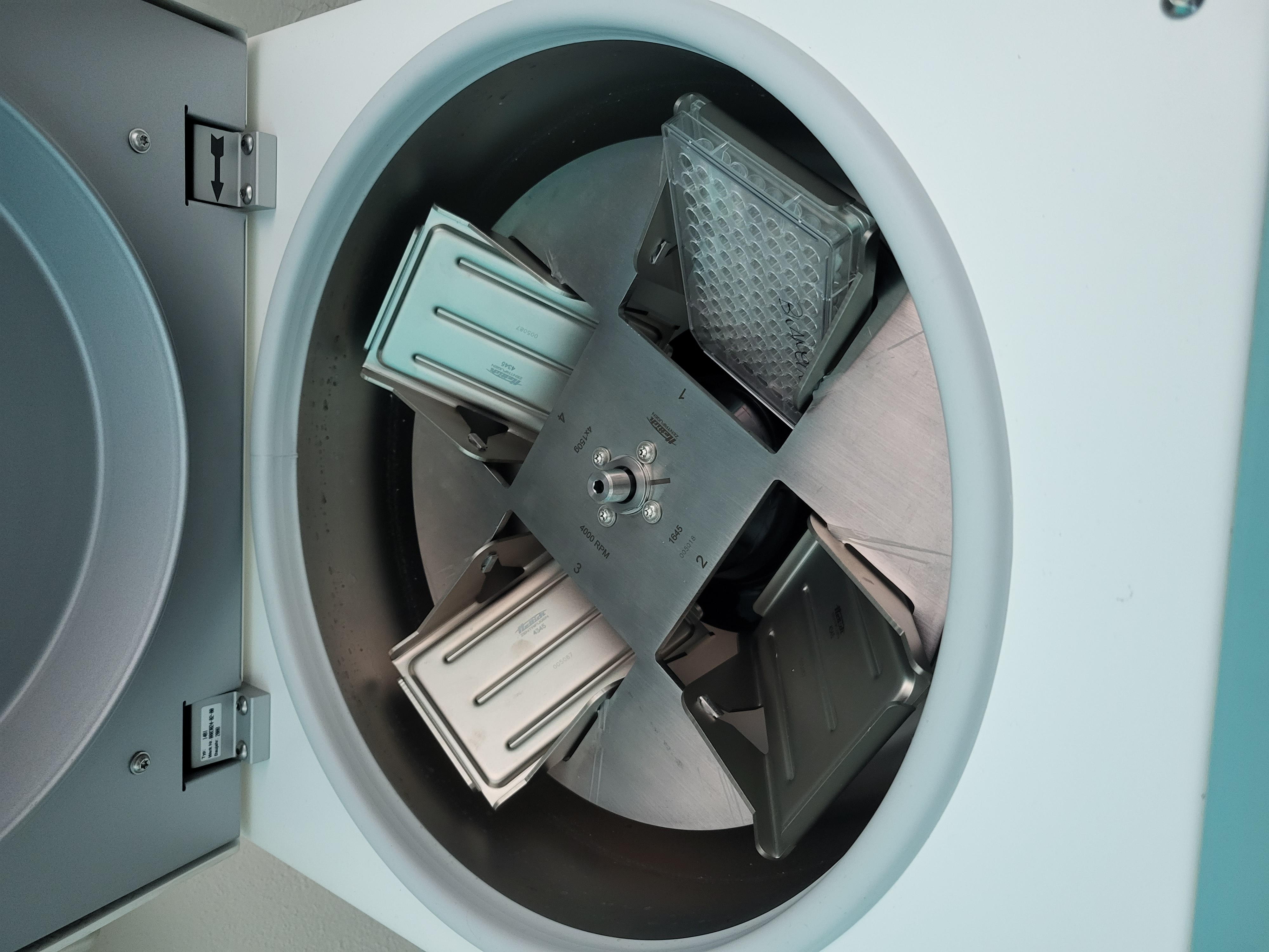 laboratorio immunologia