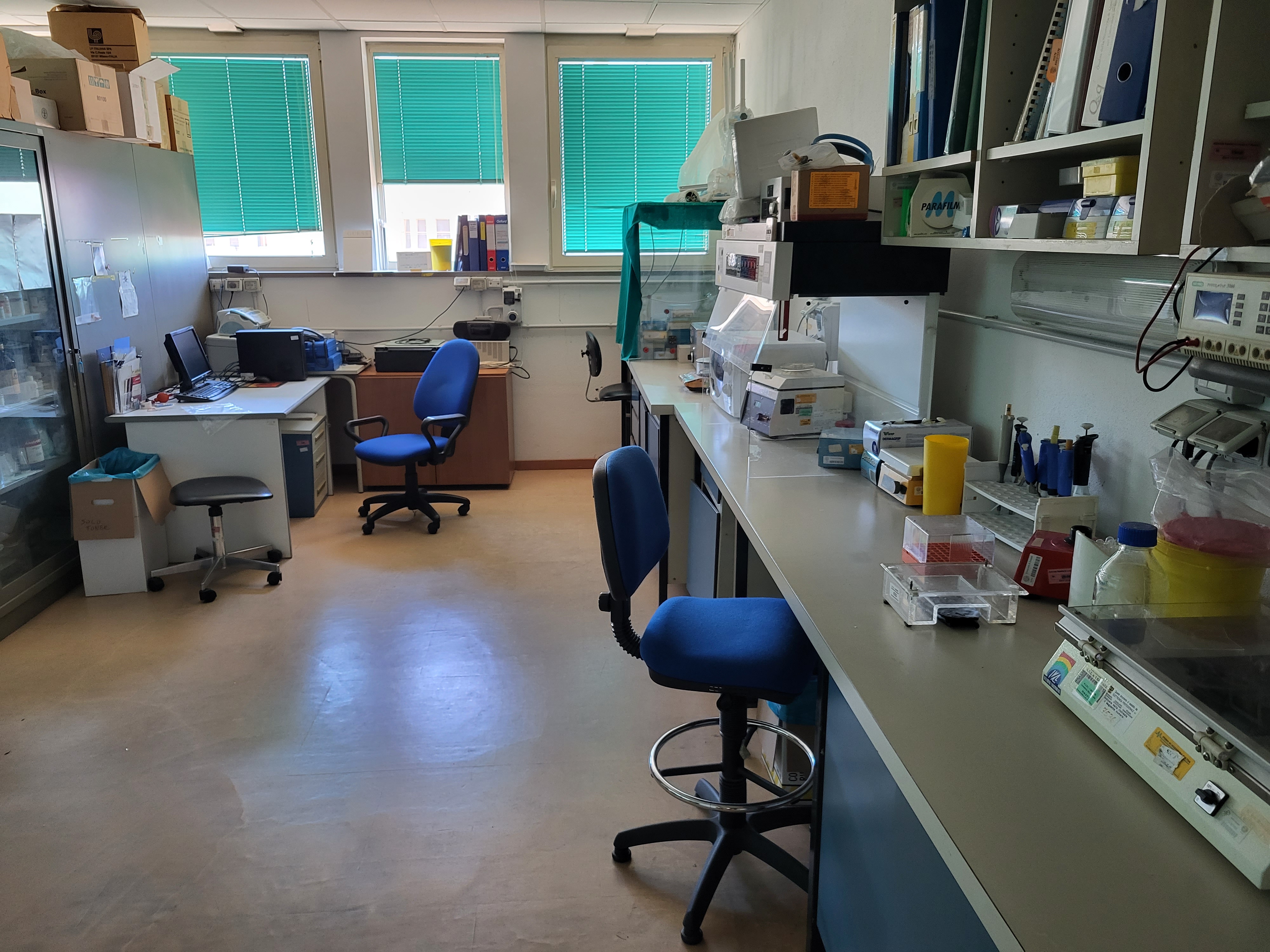 laboratorio immunologia