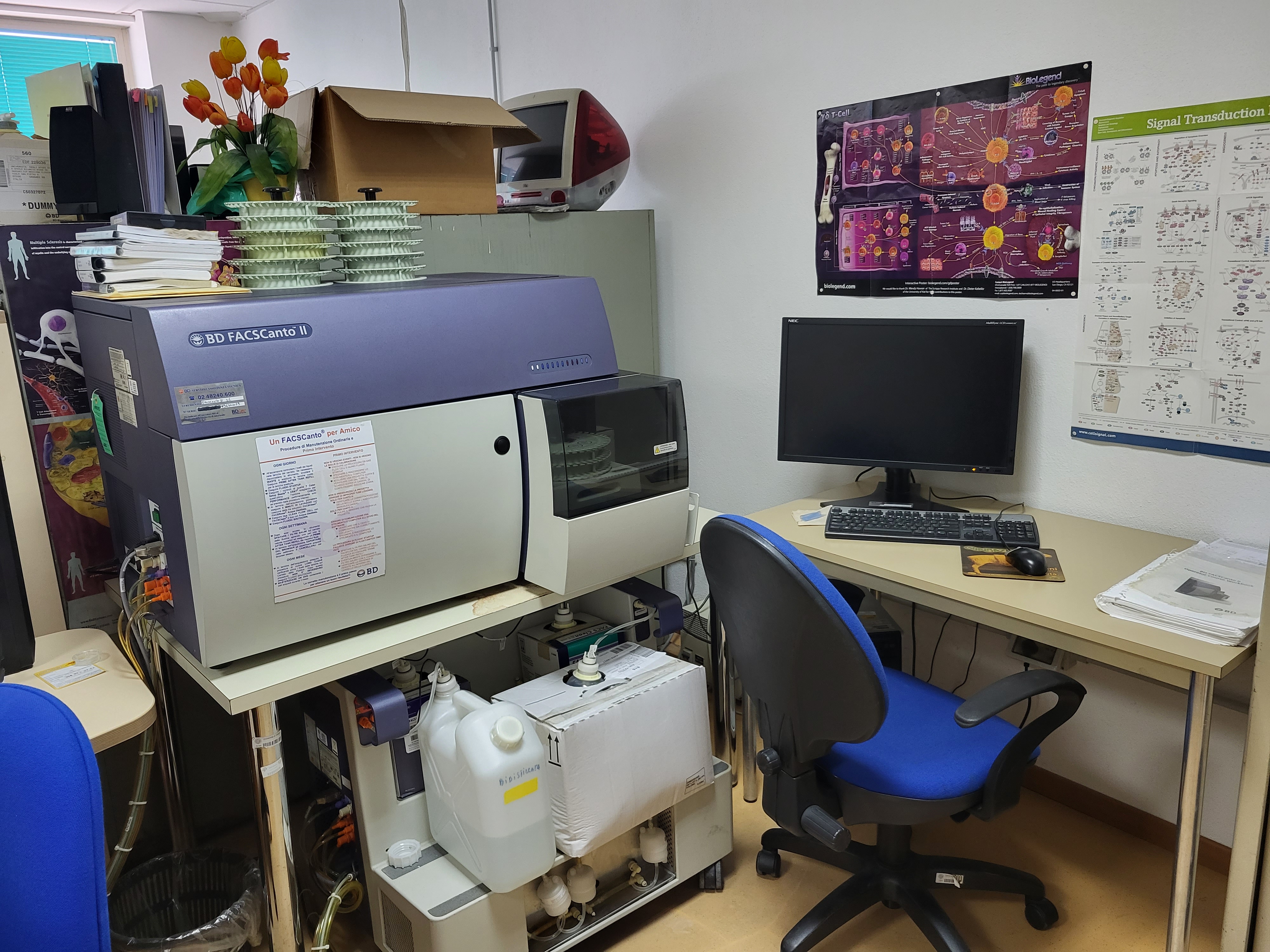 laboratorio immunologia