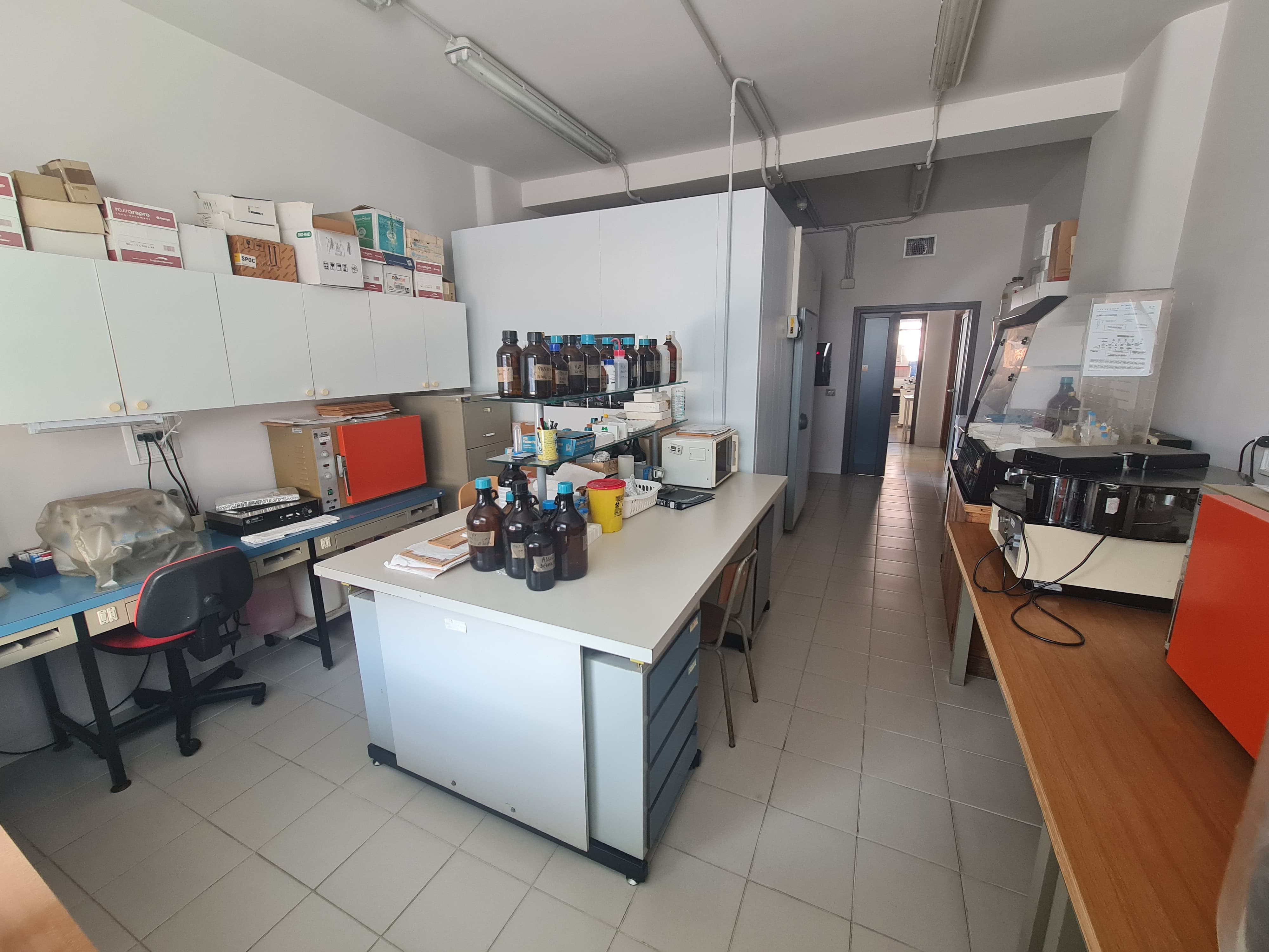 oncologia sperimentale