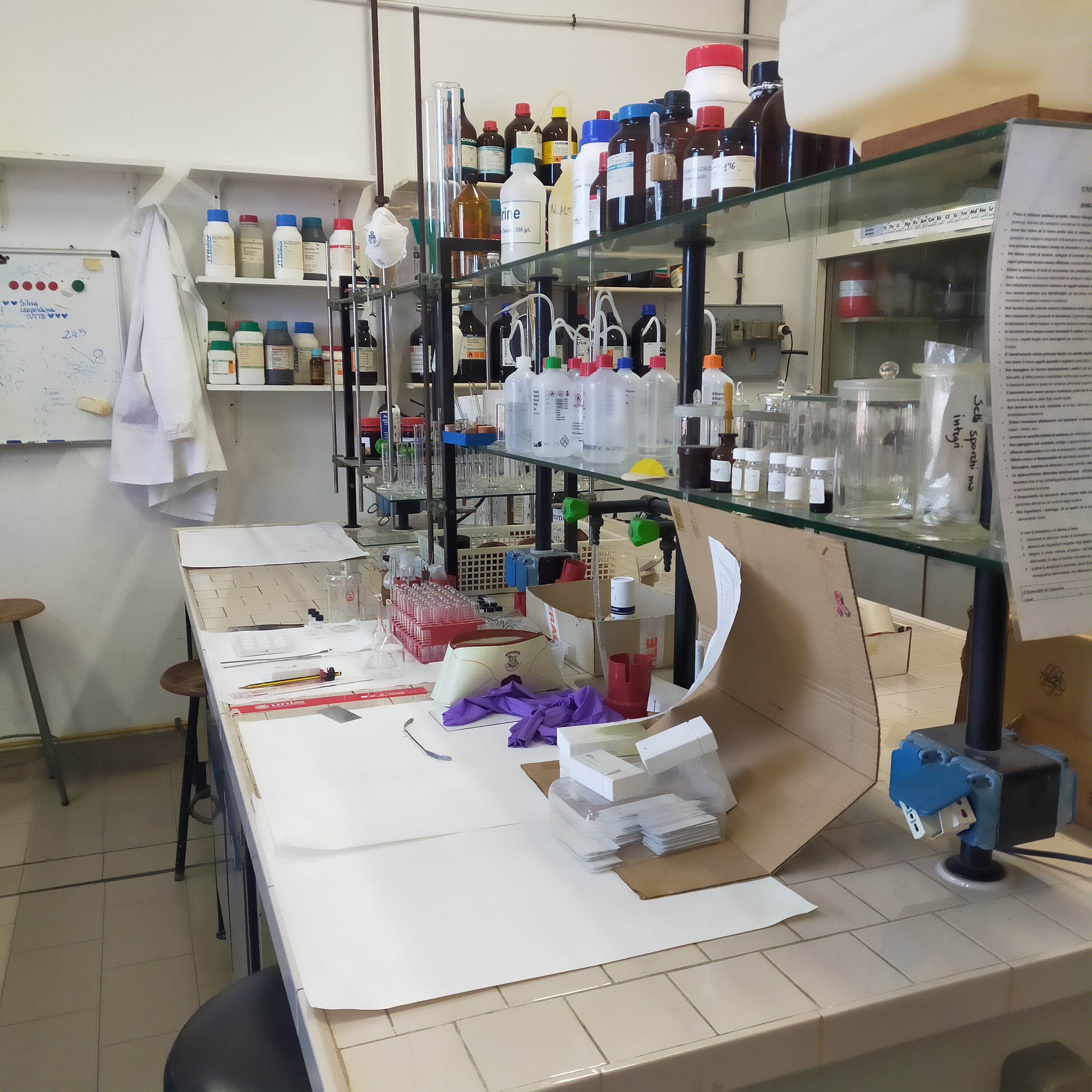 chimica farmaceutica