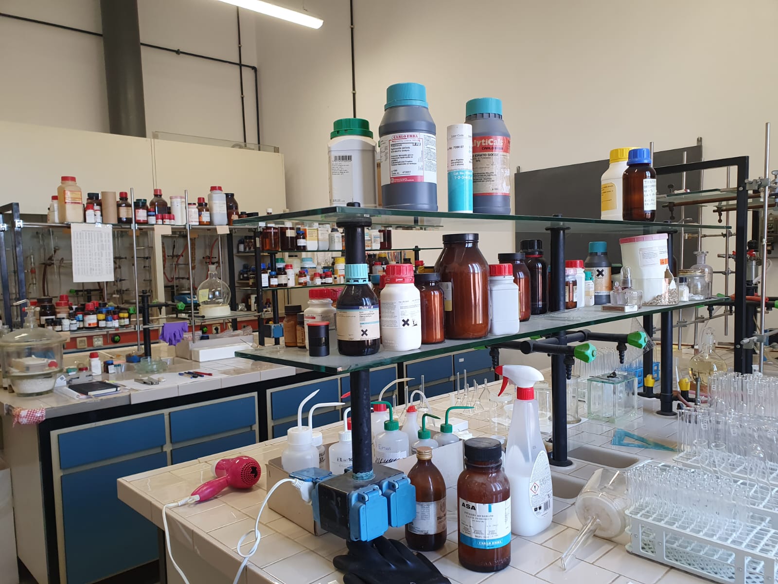 Laboratorio Vitale 2