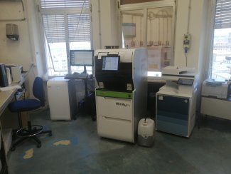 laboratorio ematologia