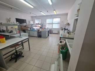 oncologia sperimentale